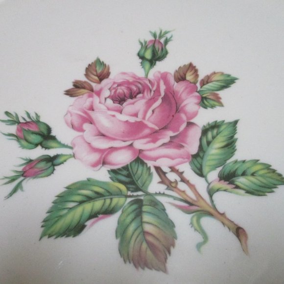 *Collectible WS George Half Century Dinner Plate - Picture 2 of 6